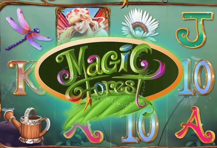 Playjonny Casino hesap sorunları için hızlı destek