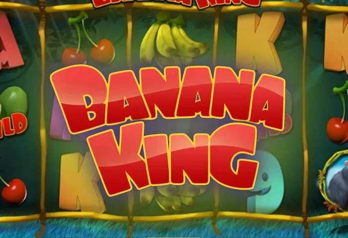 Playjonny Casino mobil uygulamasında mevcut bankacılık çözümleri