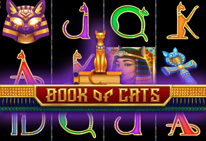 Playjonny Casino mobil uygulamasında mevcut bankacılık çözümleri
